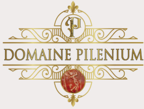 logo domaine pilenium